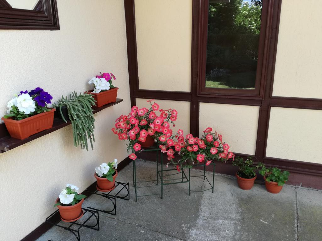 Stara Breza 1 Rooms Palić المظهر الخارجي الصورة